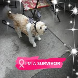 Meet your Posher, Cathy